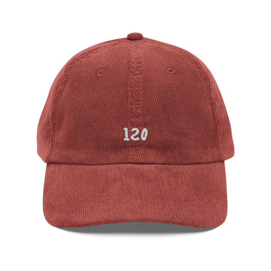 120 Embroidered Hat