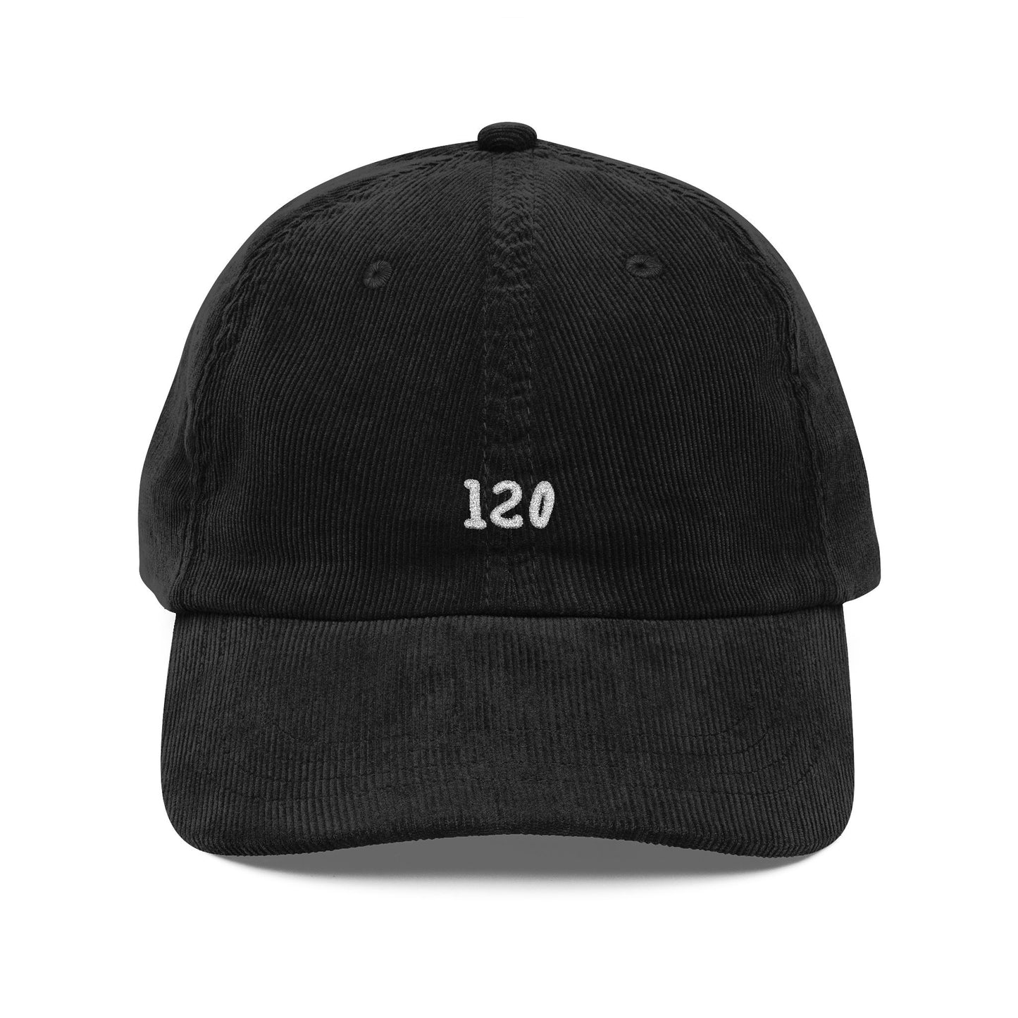 120 Embroidered Hat