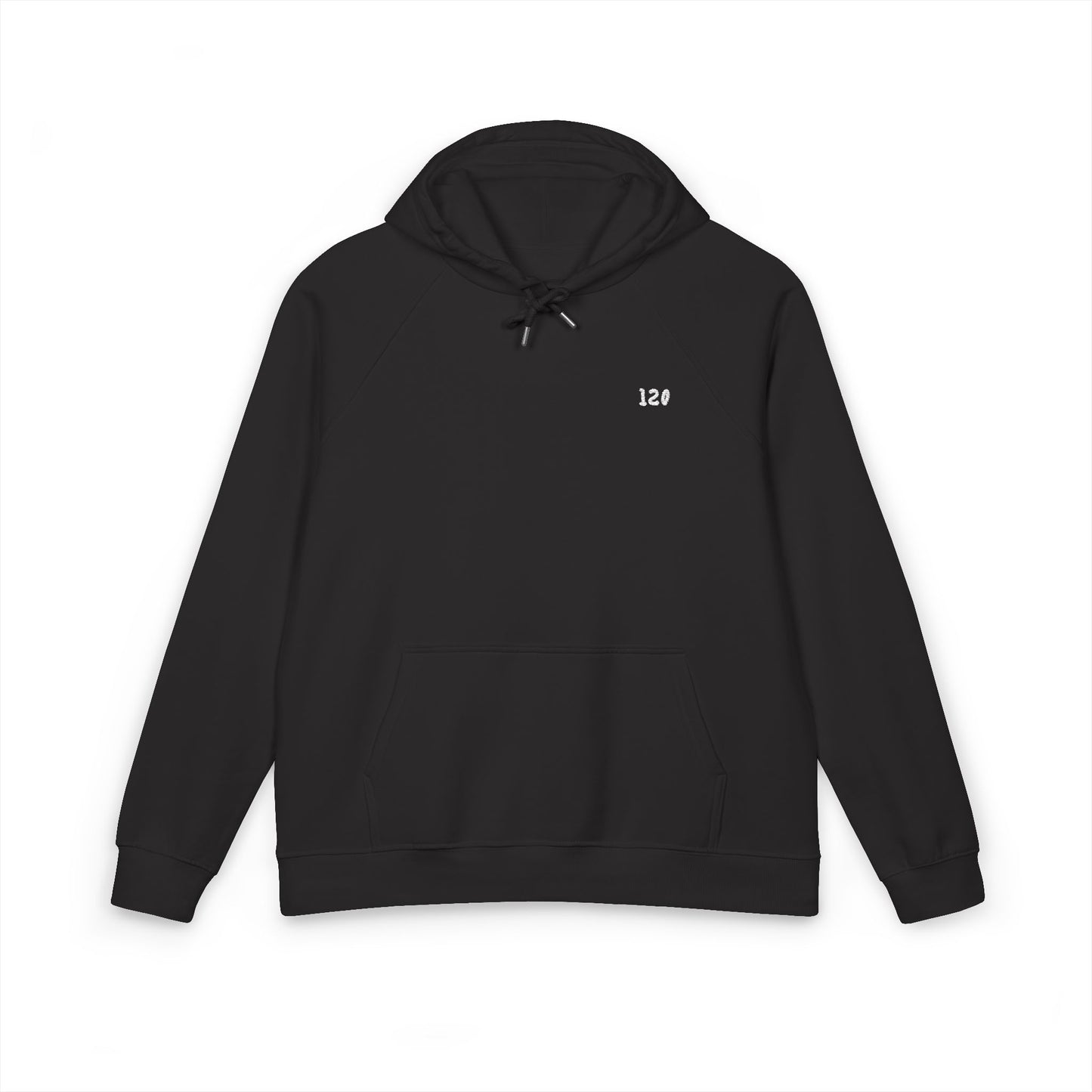 120 Embroided Hoodie